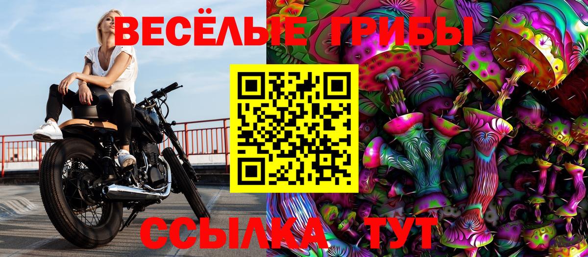 Псилоцибиновые грибы Cubensis  Вход с VPN  Галлюциногенные грибы мицелий  Новочеркасск 