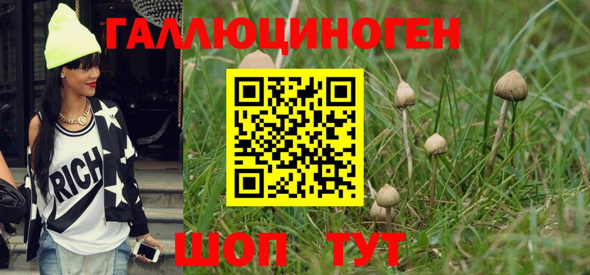 Галлюциногенные грибы мухоморы Новочеркасск